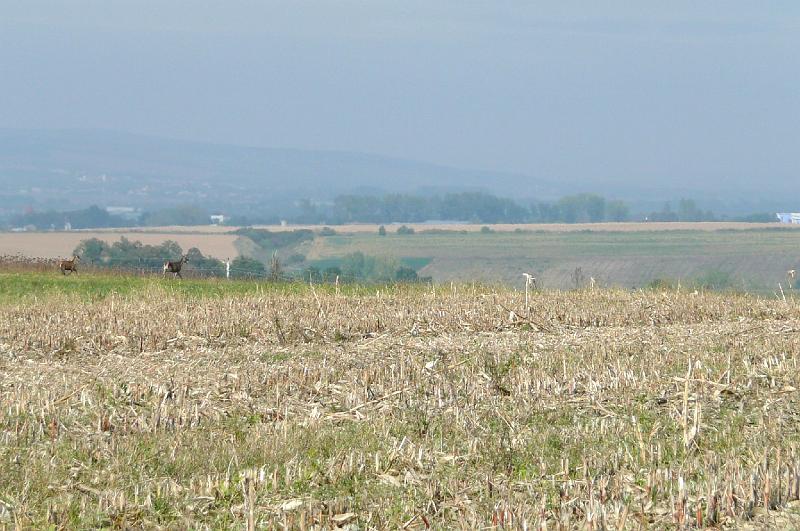 20121013 084.jpg